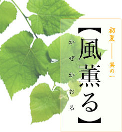 初夏―其の一【風薫る】