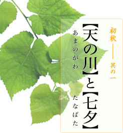 初秋―其の一【天の川】と【七夕】