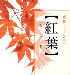 晩秋―其の一【紅葉】