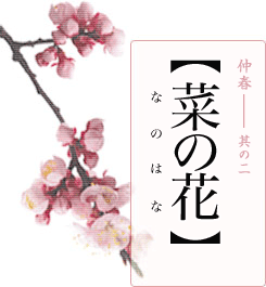 仲春―其の二【菜の花】