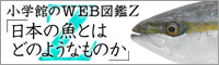 WEB図鑑Z