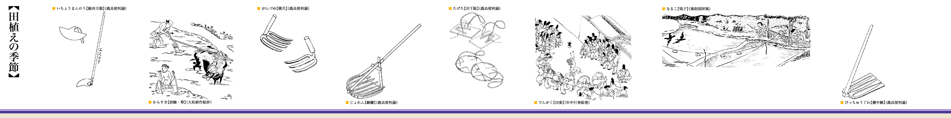 田植えの季節